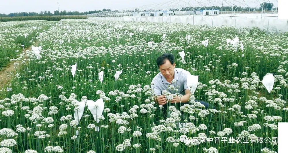 五一劳动节
