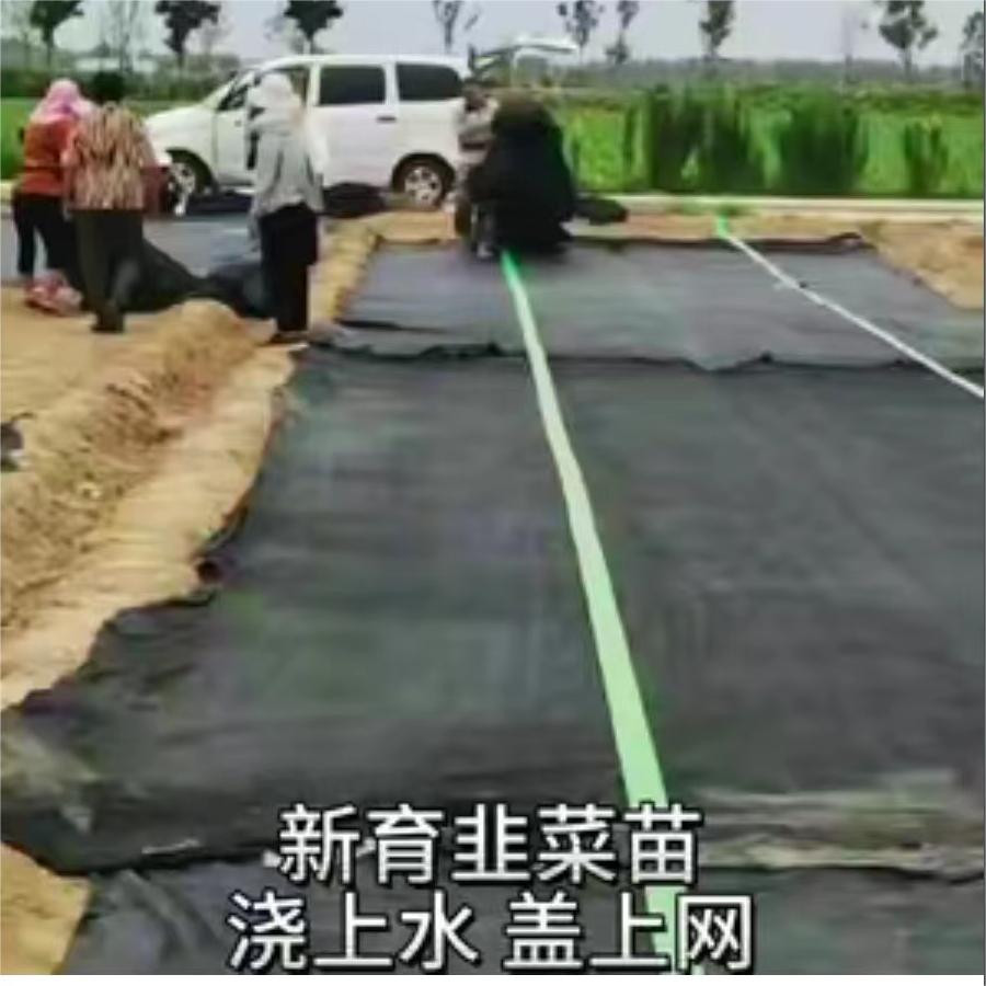 新育韭菜苗，浇上水，盖上网