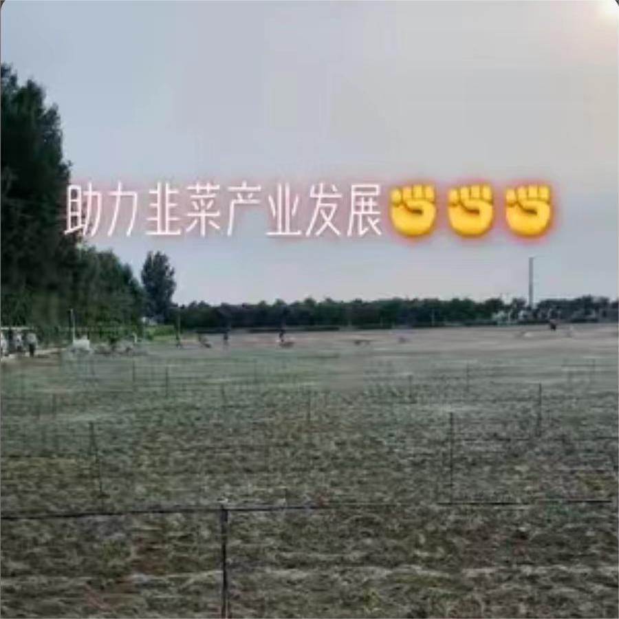 助力韭菜产业发展