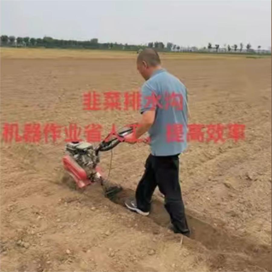 韭菜排水沟，机器作业省人工，提高效率。