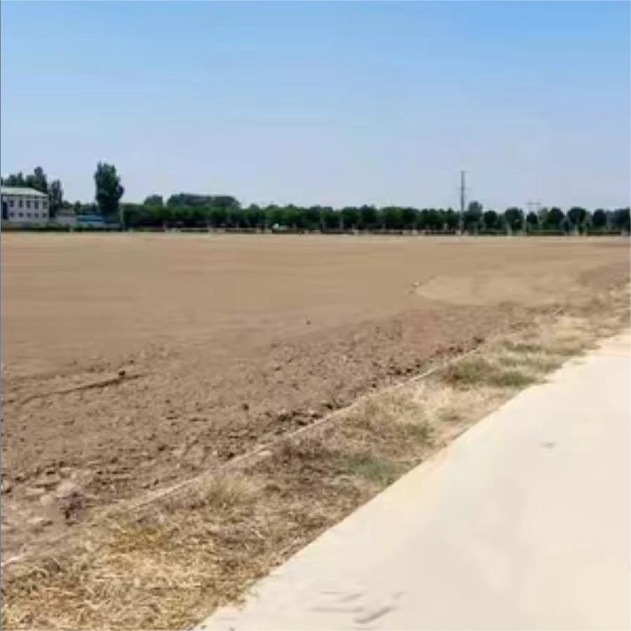 移栽前规划土地