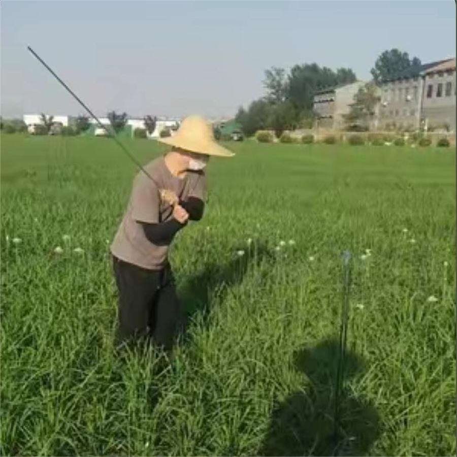 打薹