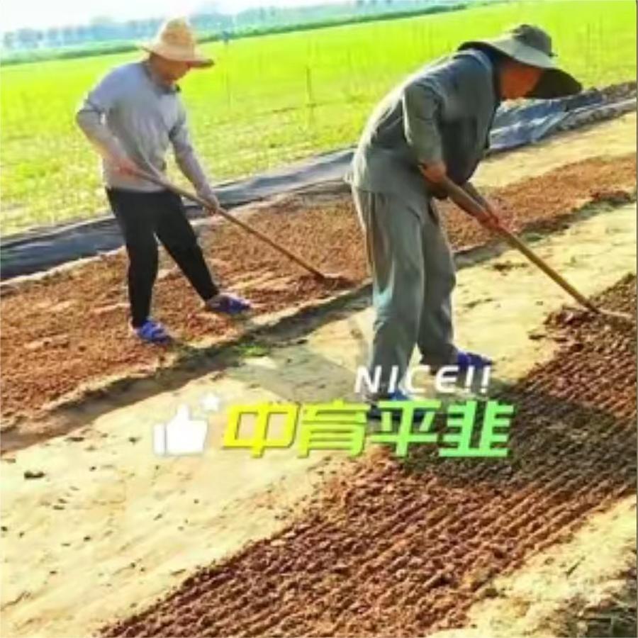 日出而作，日落而息。