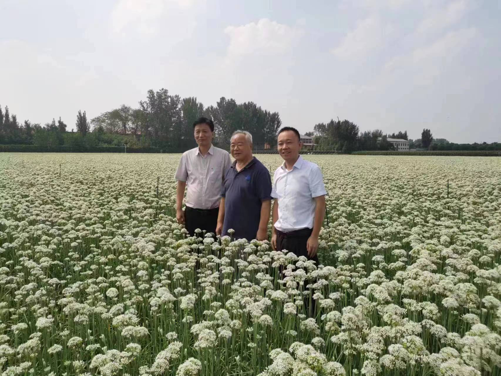 俞景权院士，河南农大孙教授、张老师莅临基地指导
