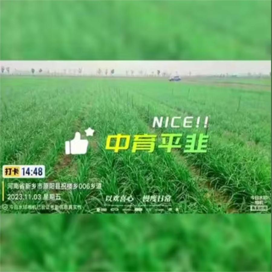 基地每一天#