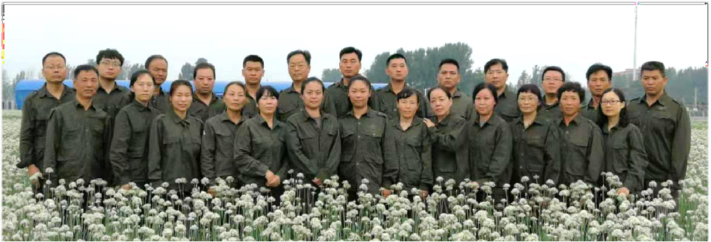公司研发团队简介