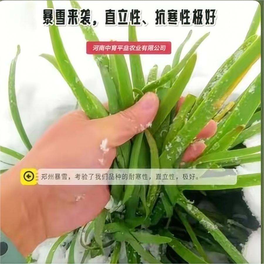 郑州暴雪