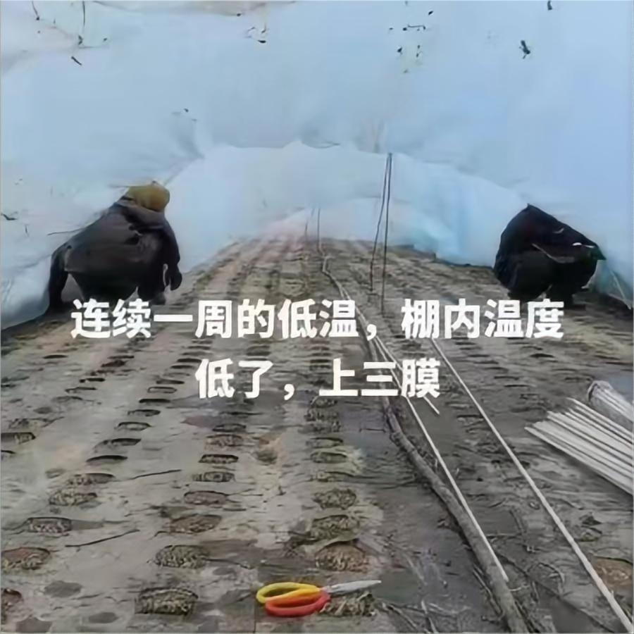 连续低温-上三膜