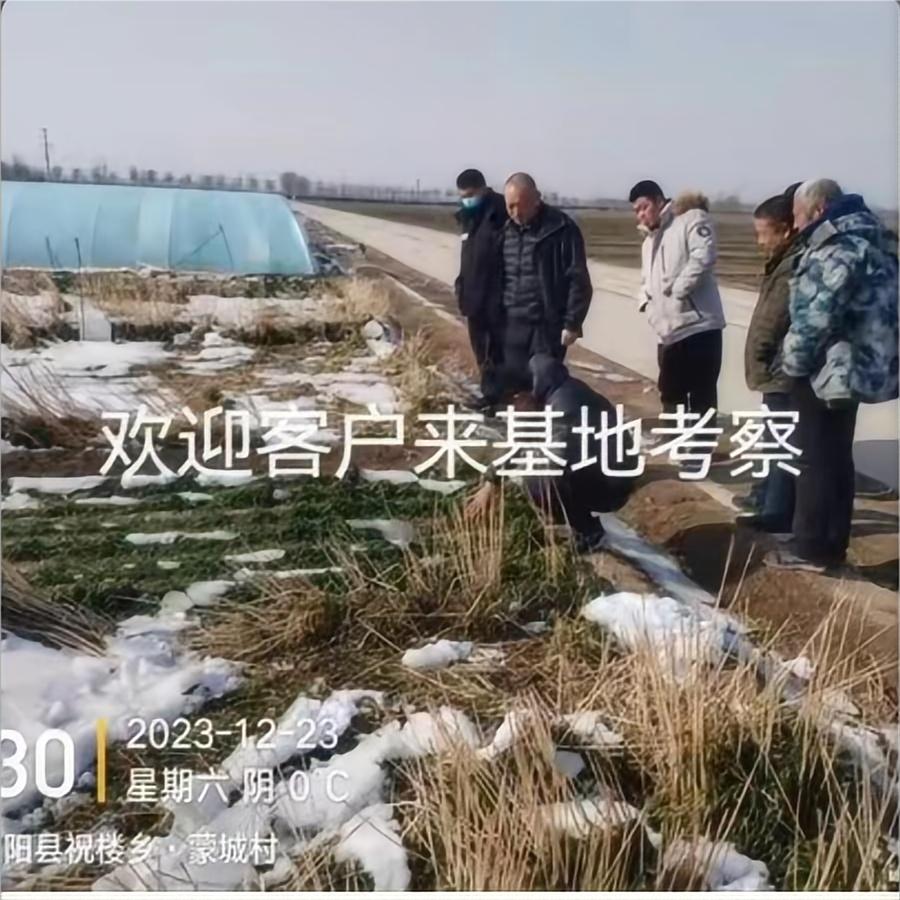 欢迎客户来基地考察