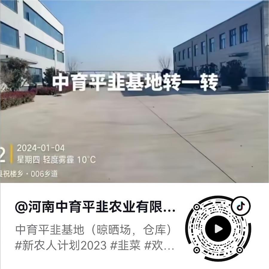 中育平韭基地转一转
