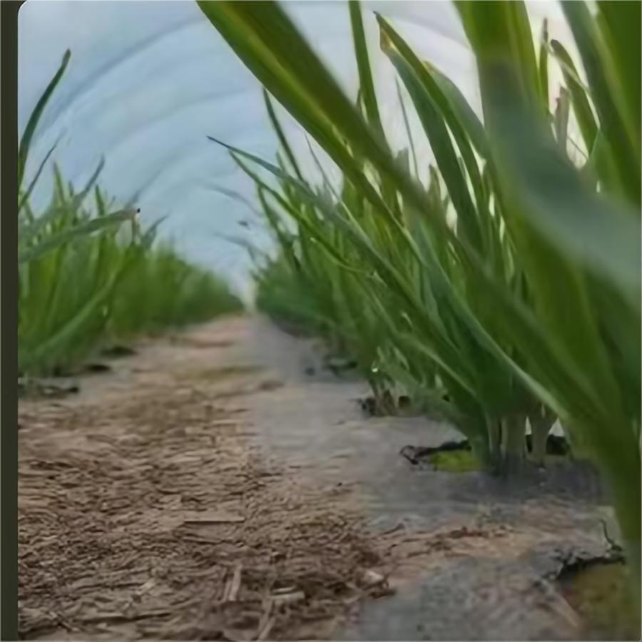 基地日常1
