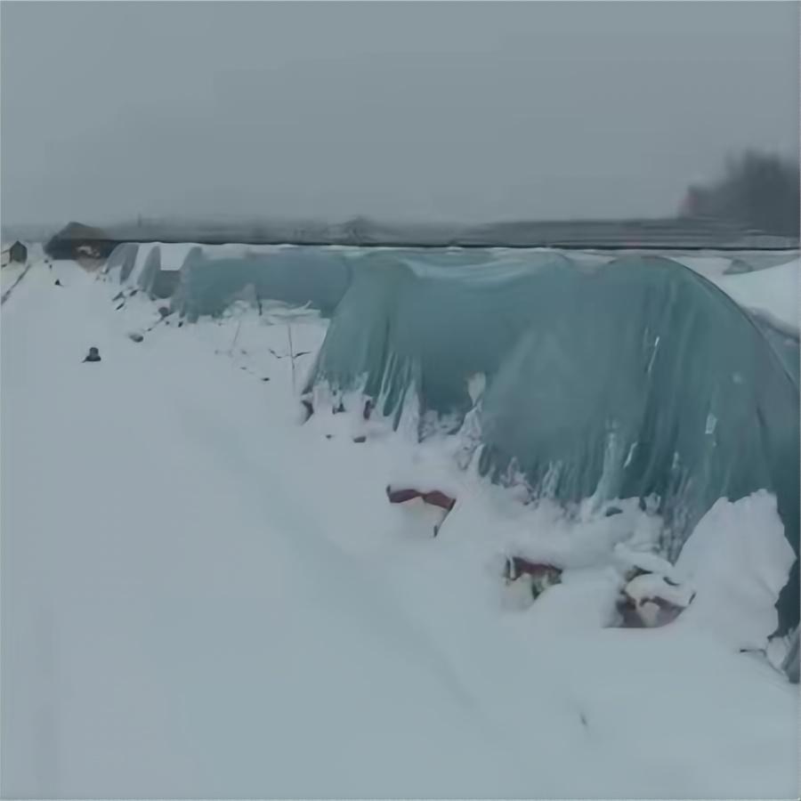 2024年初雪