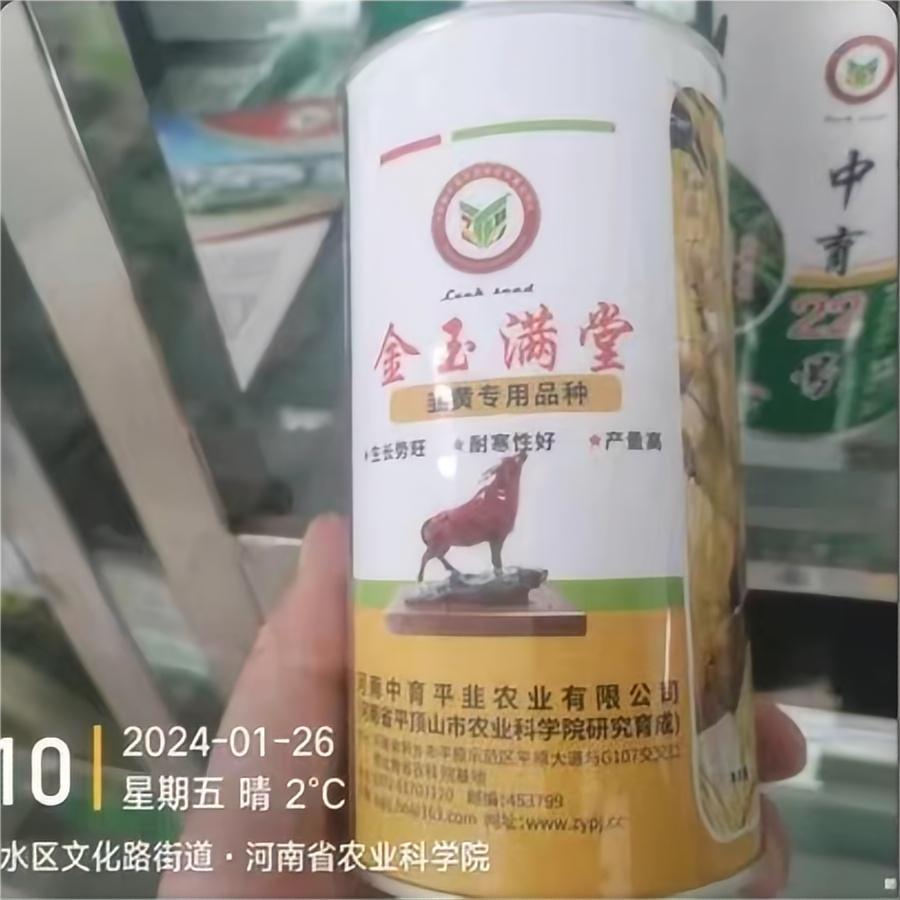 金玉满堂-韭黄品种