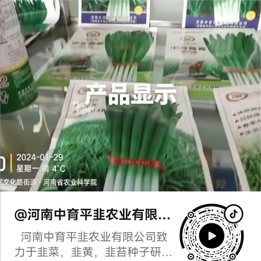 产品展示