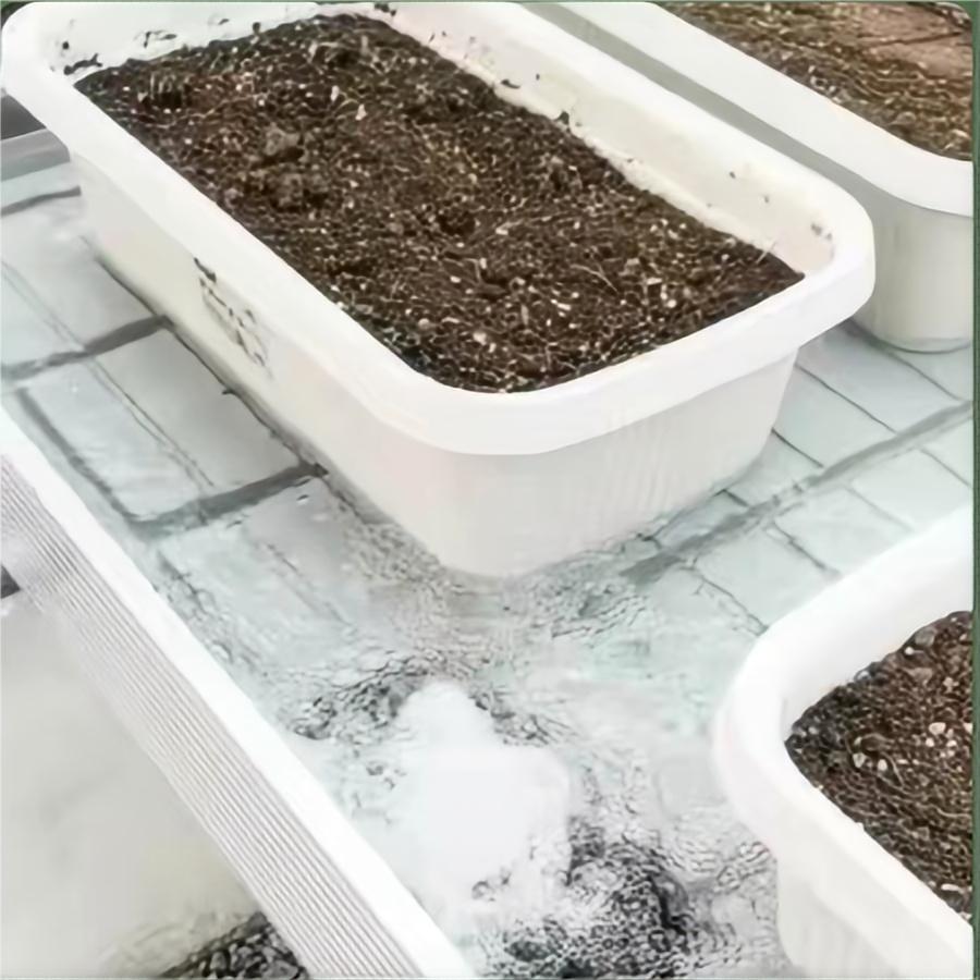 精控玻璃温室培育新种
