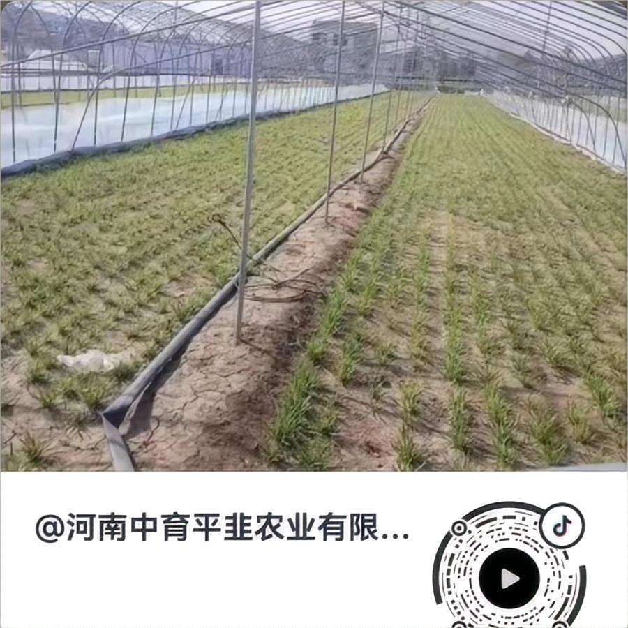 转一转