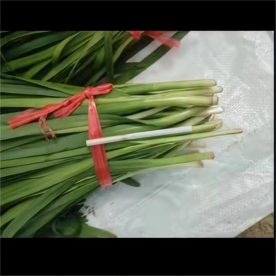 韭菜