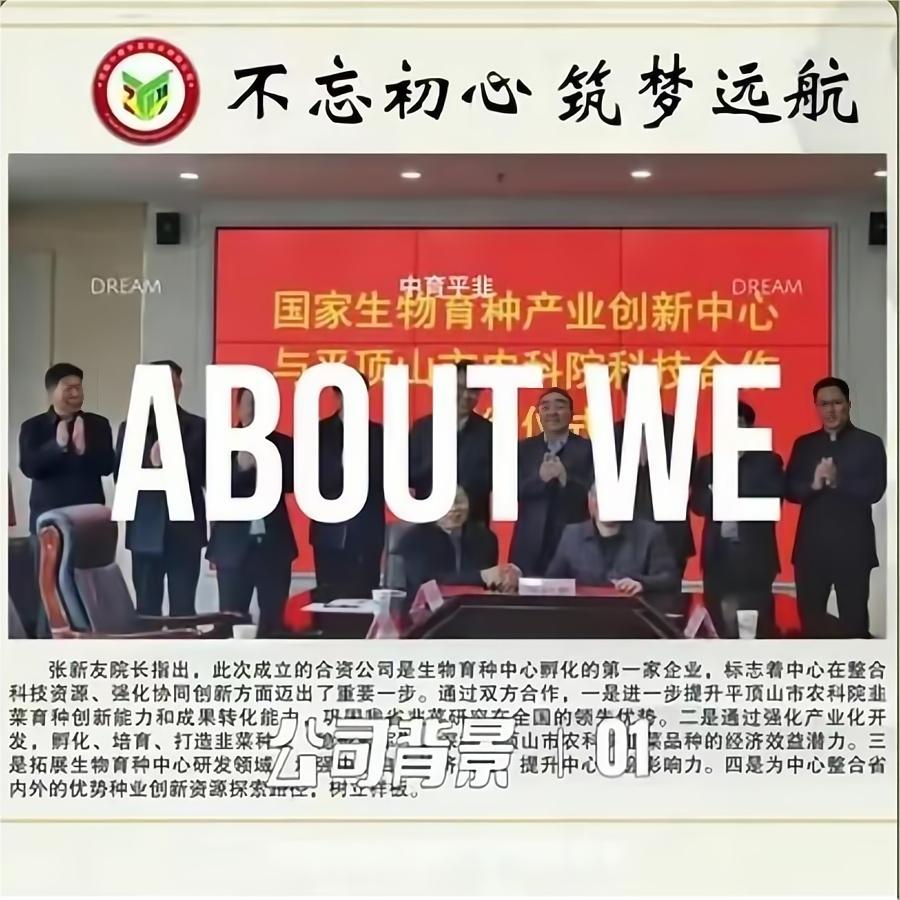 企业视频