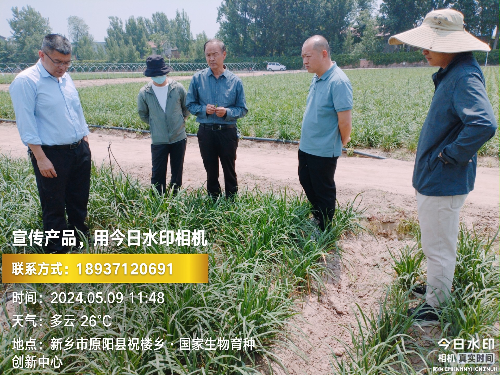 专家来基地指导生产工作