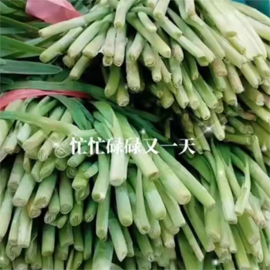 忙忙碌碌的一天