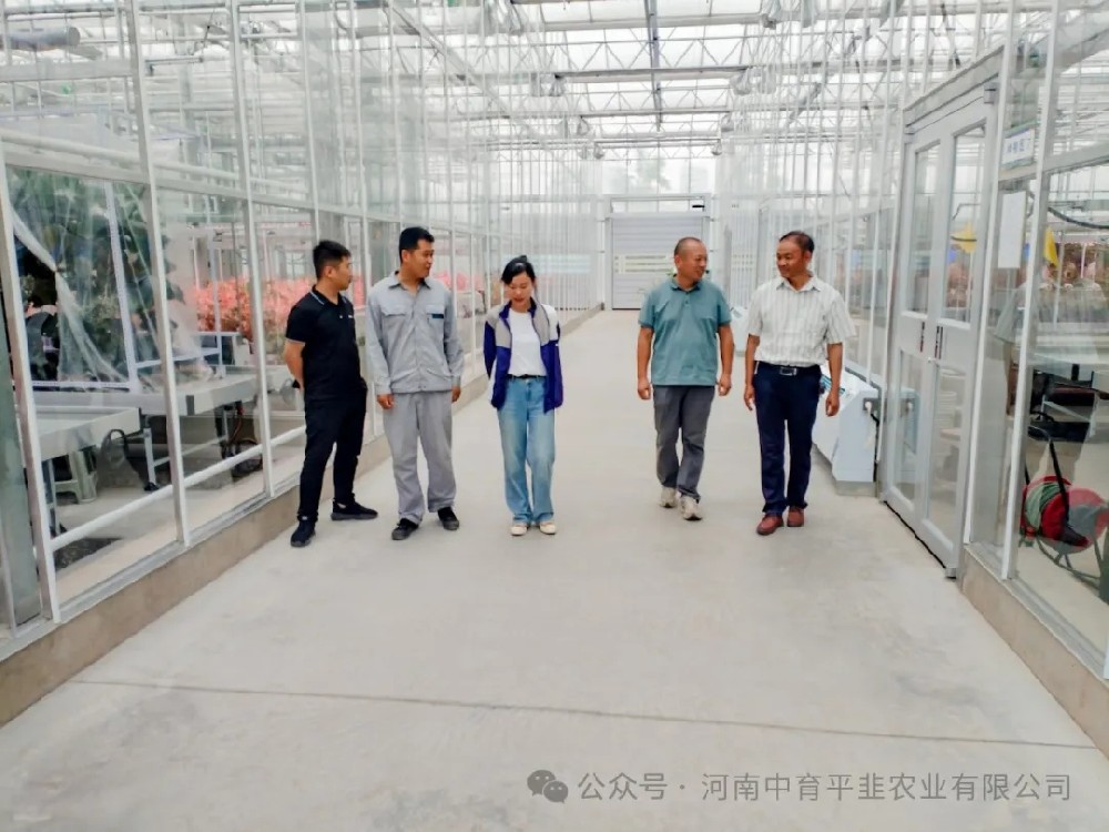 平顶山市农业科学院专家莅临指导田间制种与新品种选育工作