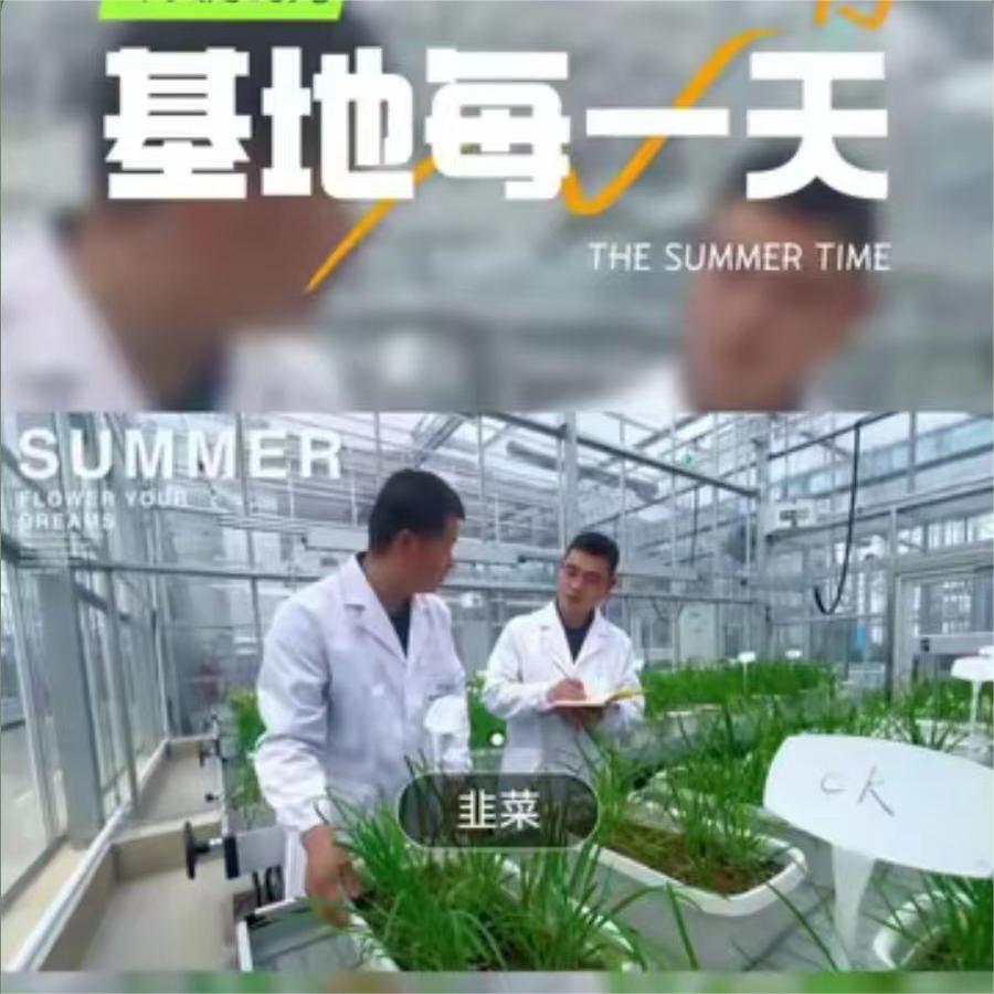 来温室看看育苗情况