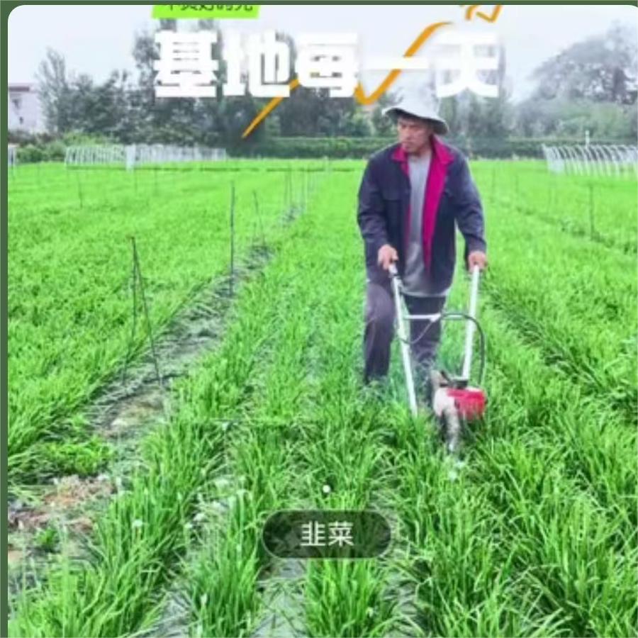 开始平茬打头