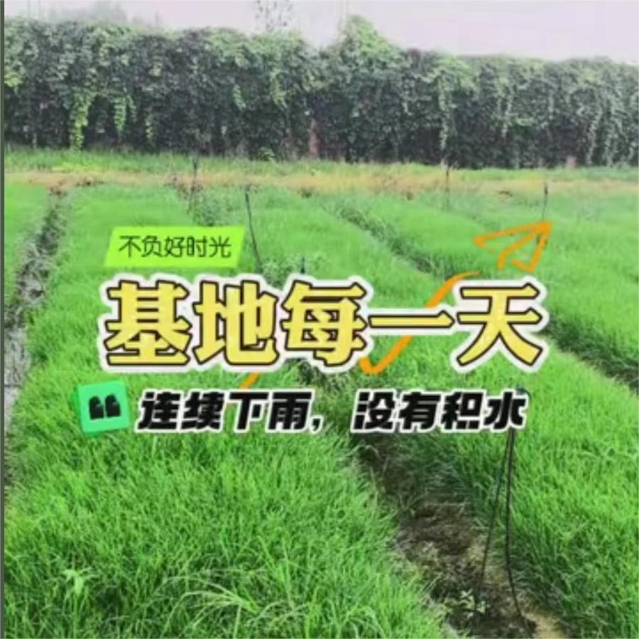连续下雨，没有积水