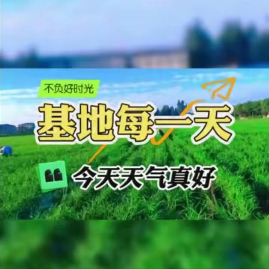 今天天气真好