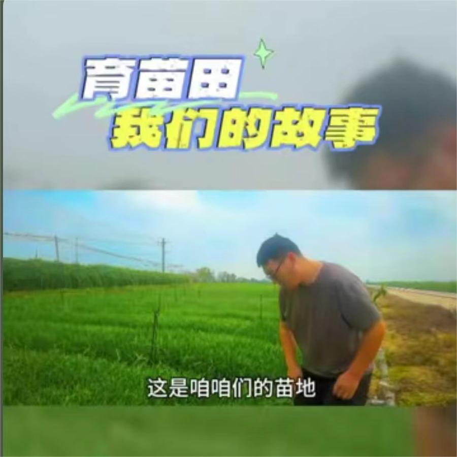 育苗田-我们的故事