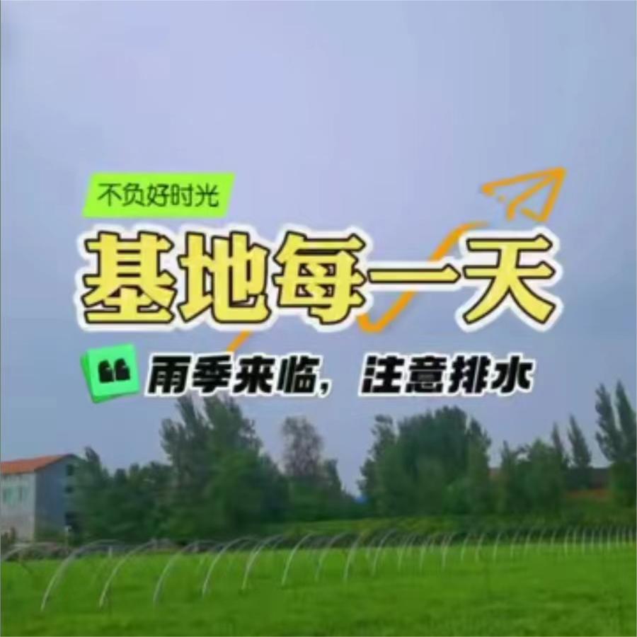 雨季来临，注意排水