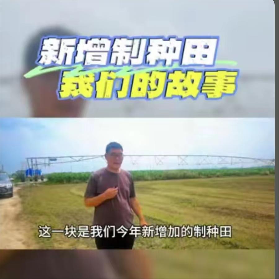 新增制种田-我们的故事