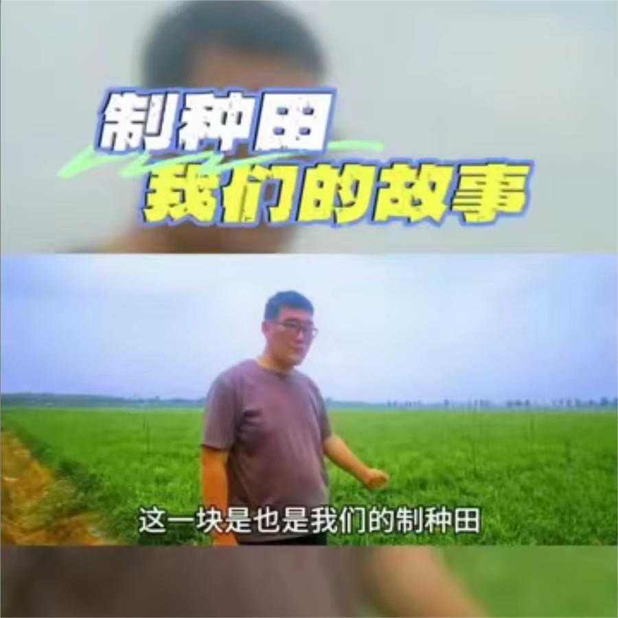制种田-我们的故事