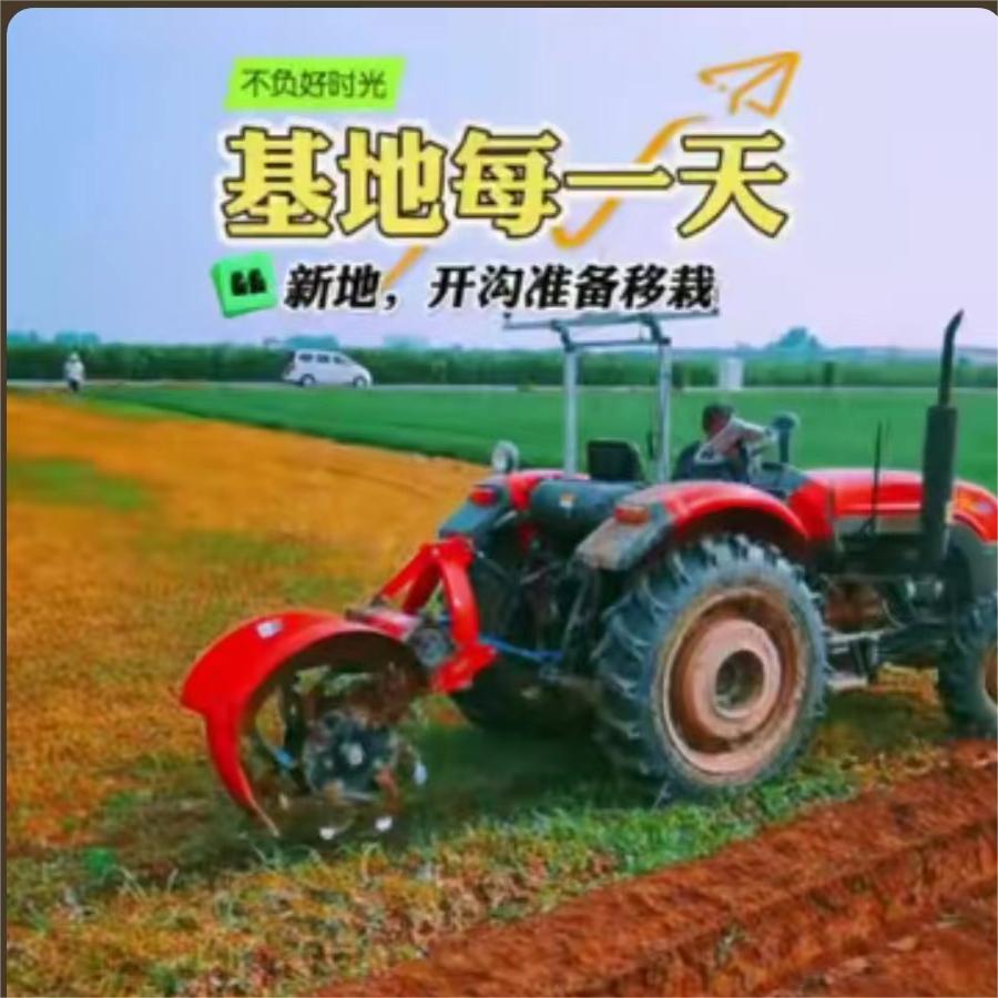 新地-开沟准备移栽