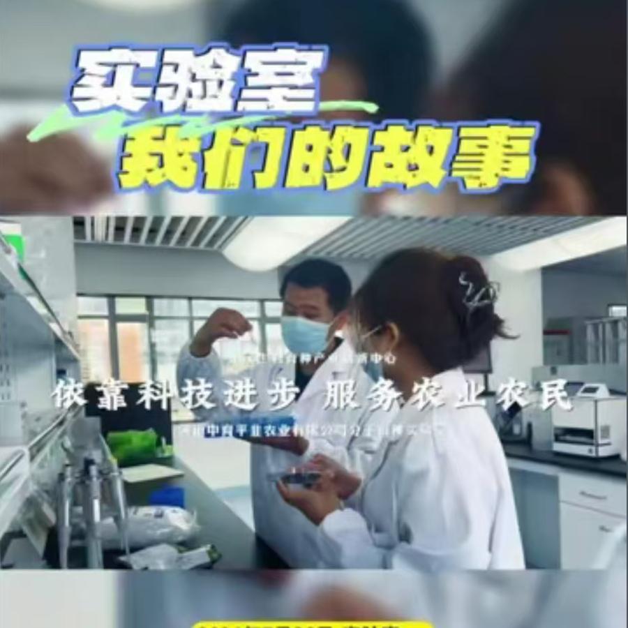 实验室-我们的故事