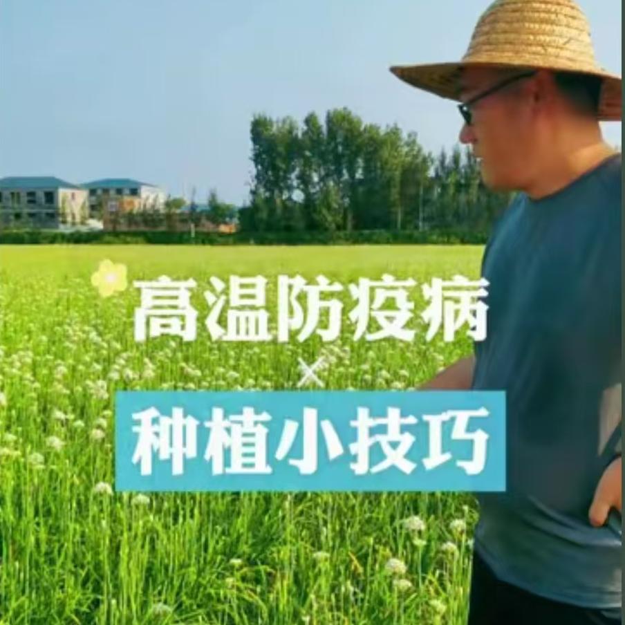 高温防疫病