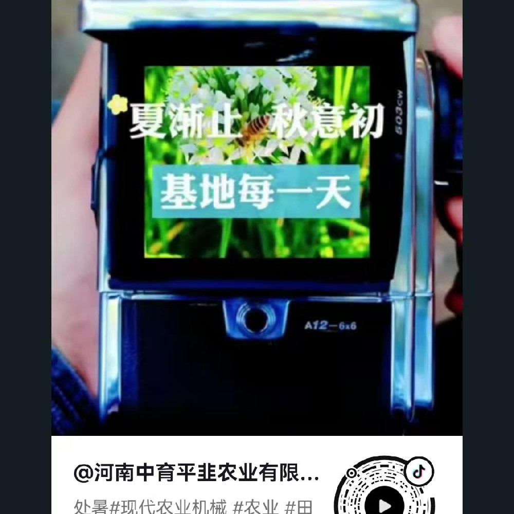 夏渐止、秋意初