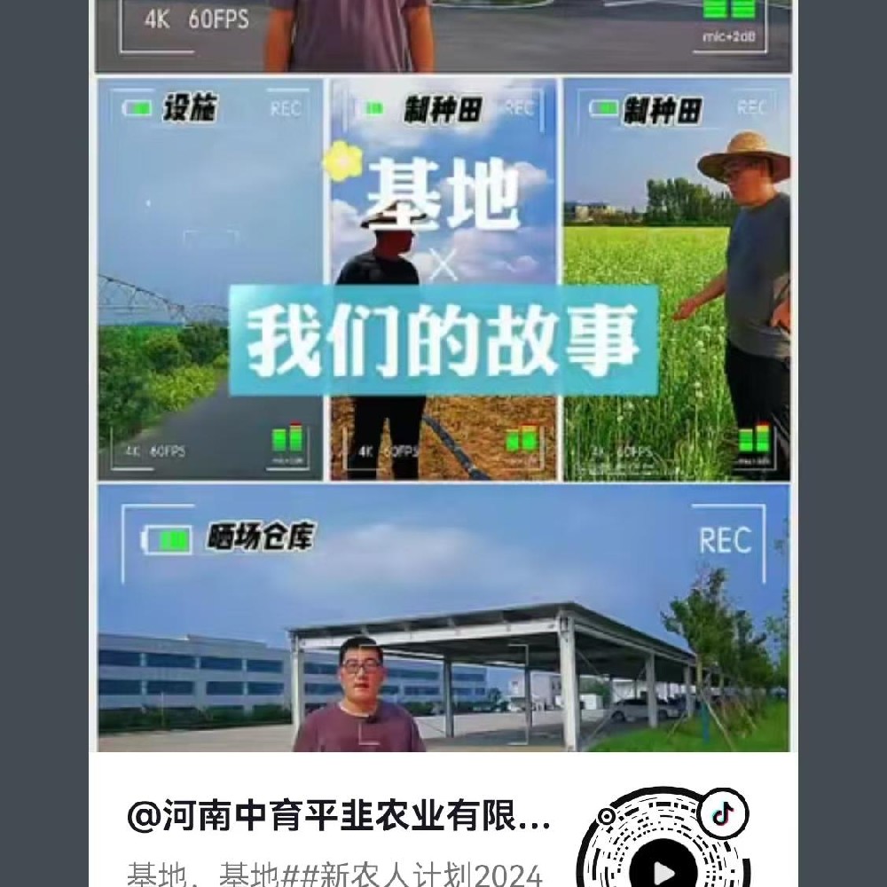 基地