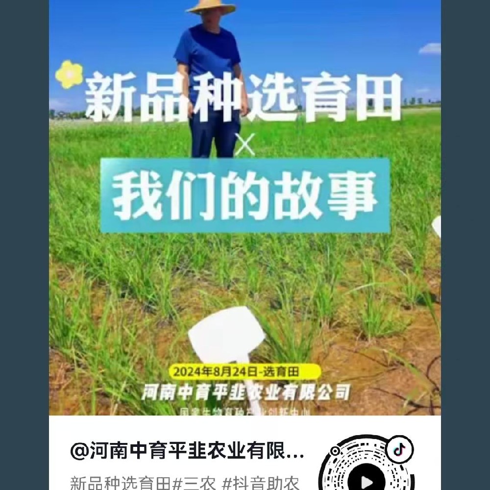 新品种选育田