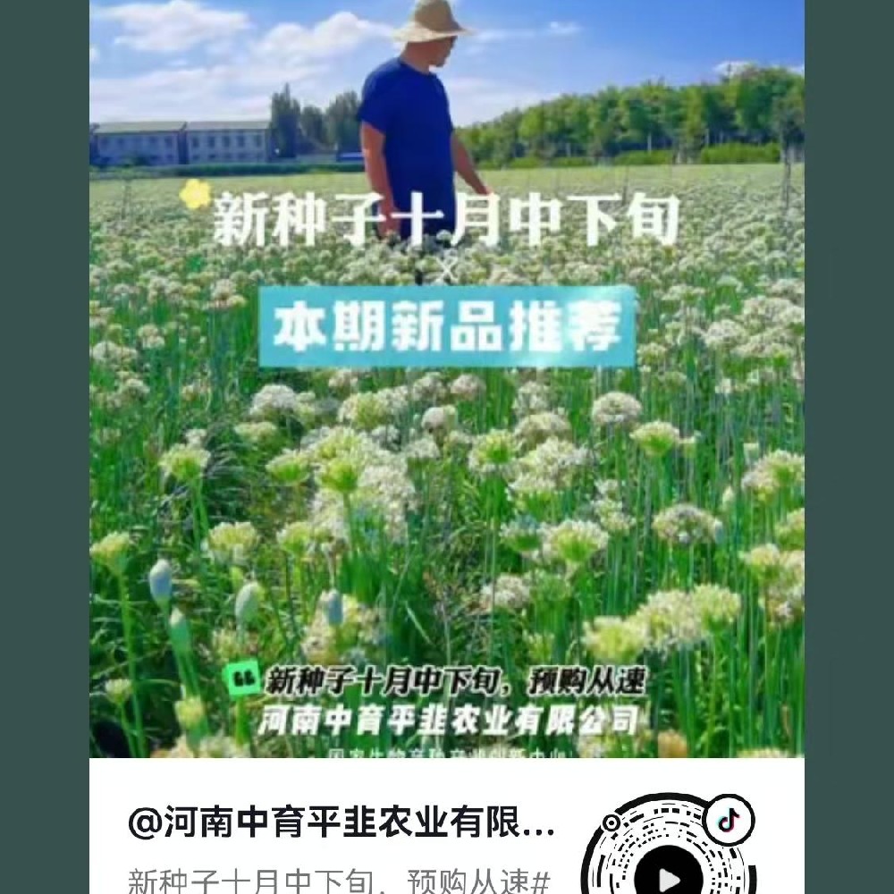 新种子十月中下旬