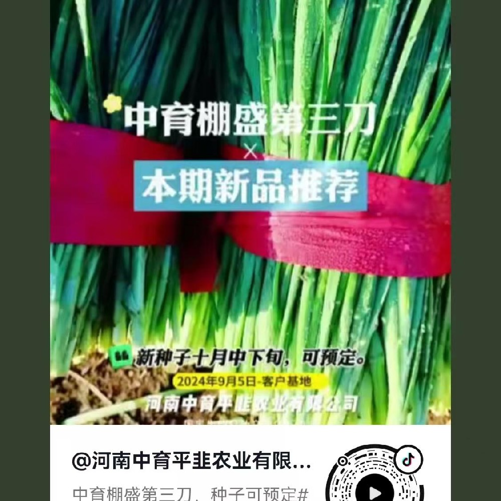 中育棚盛第三刀
