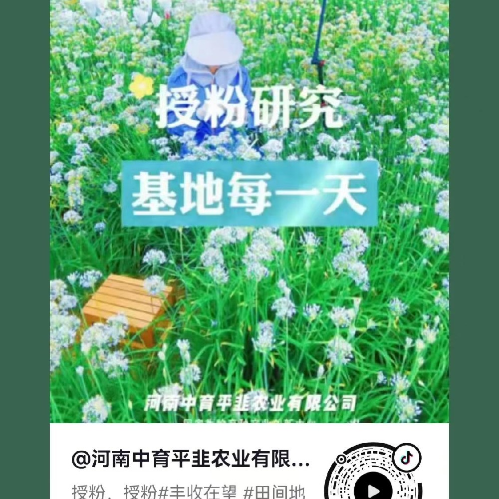 授粉研究