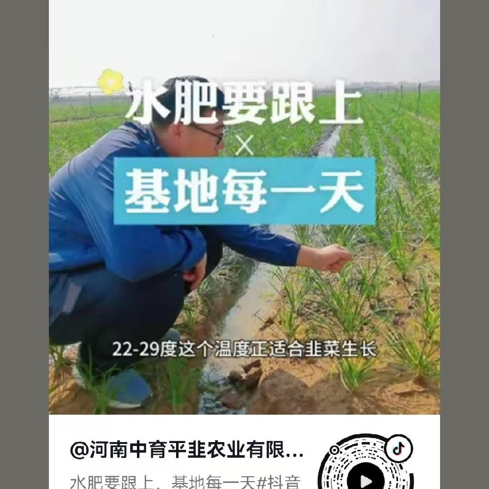 水肥要跟上
