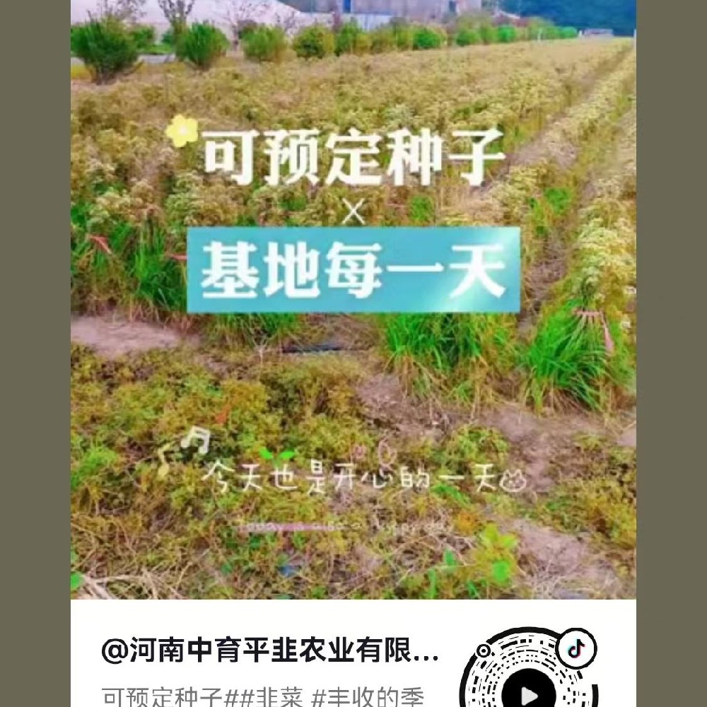 可预定种子