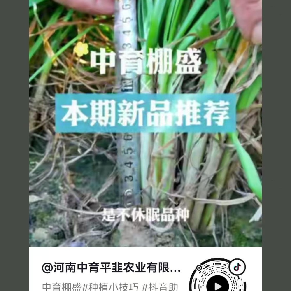 中育棚盛