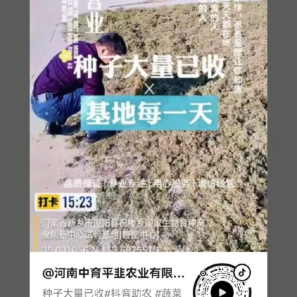 种子大量已收
