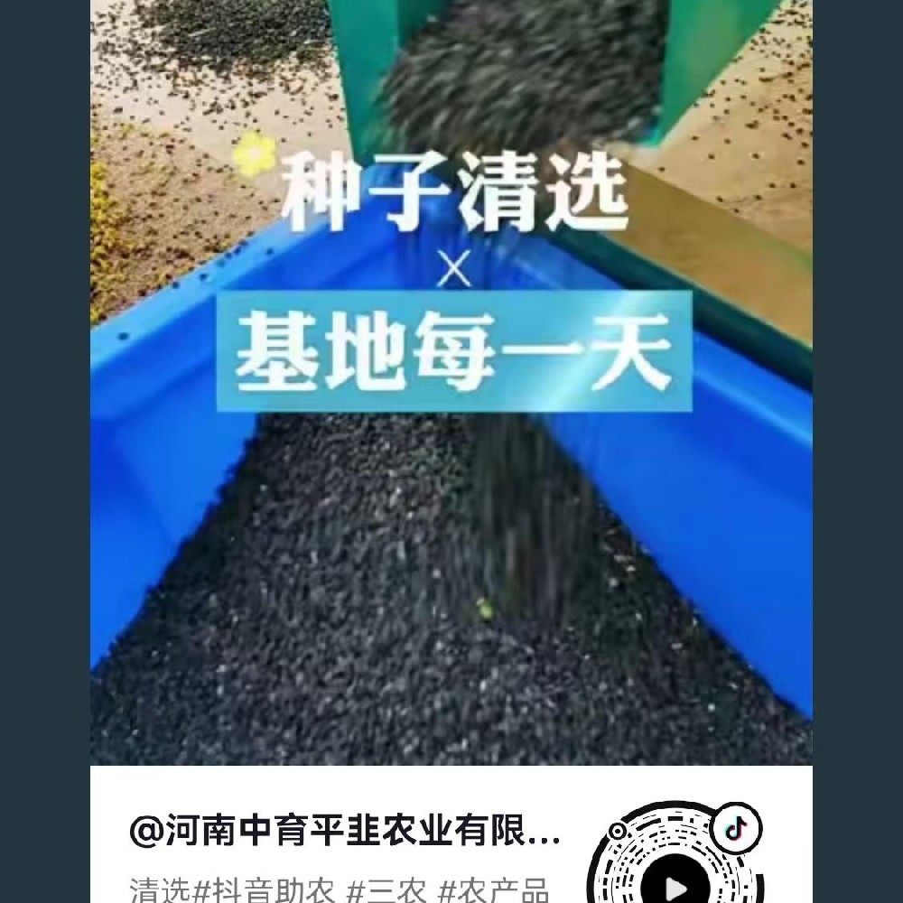 清选